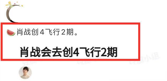 四肖期期准四肖期准开,精选解释解析落实