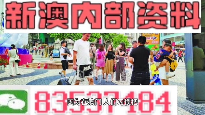 新澳2024年正版资料,精选资料解析大全