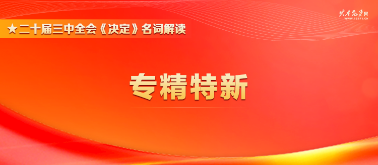 今晚澳门特马必开一肖,富强解释解析落实