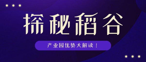 探索597人才网招聘的独特优势与机遇