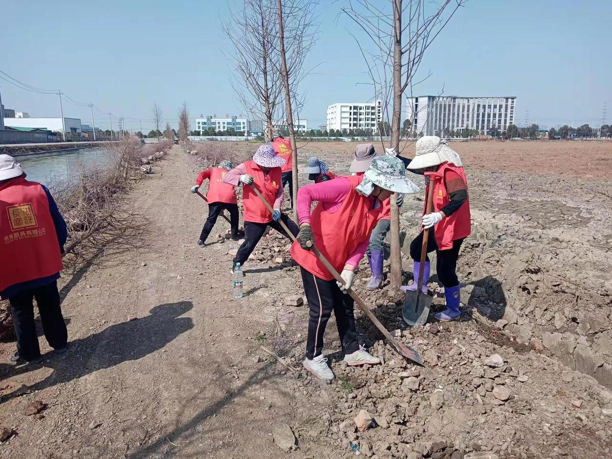 探寻沙市就业机会，聚焦58同城网招聘平台